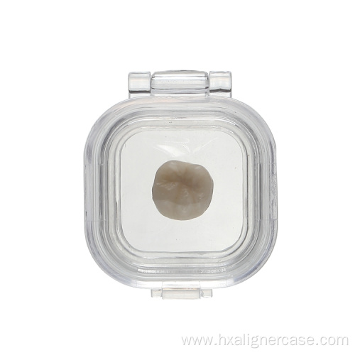 Small Plastic Transparent Membrane Jewelry Storage Box